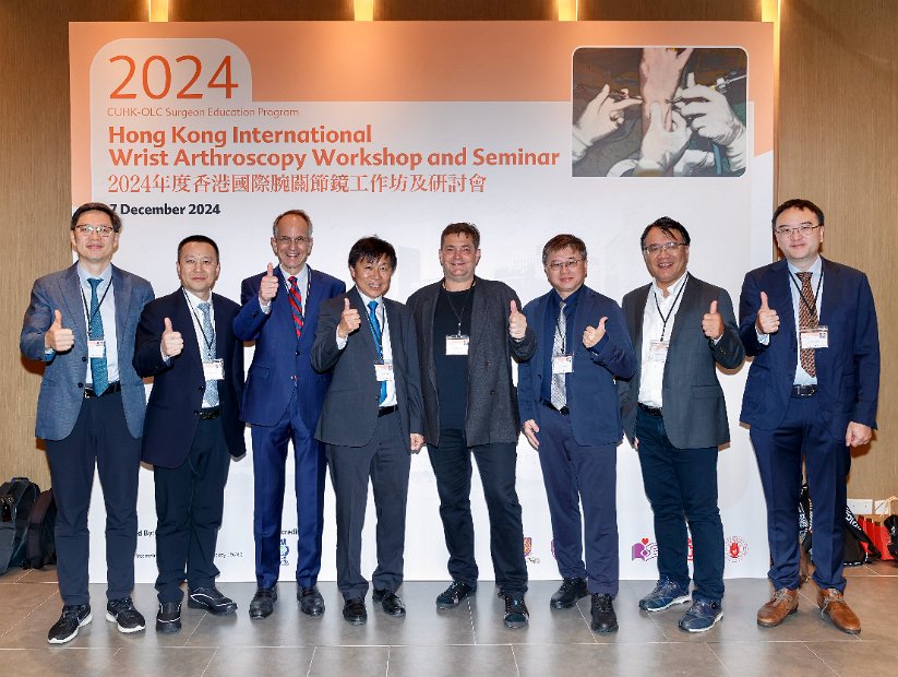 HK Wrist Course 2024- Seminar  - 3 of 257